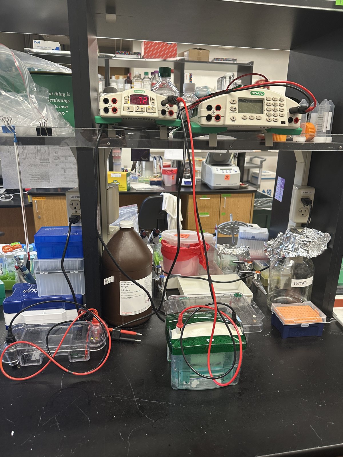 A gel electrophoresis tank wired to a power supply on a crowded lab bench