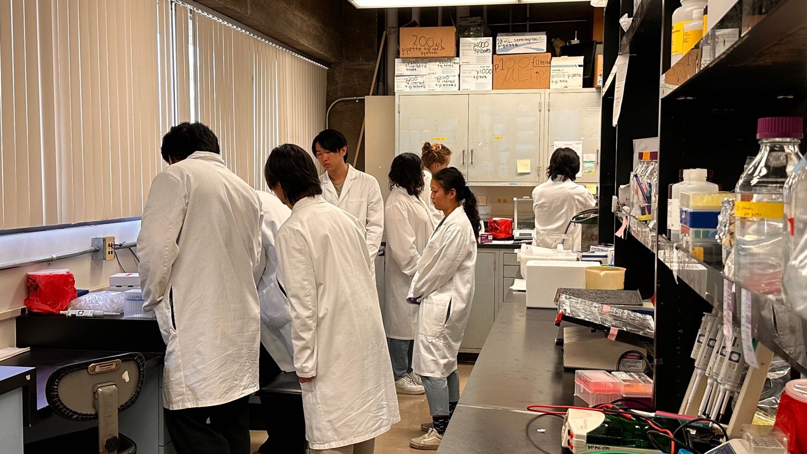 A row of students in white lab coats working at a long bench in the USC lab